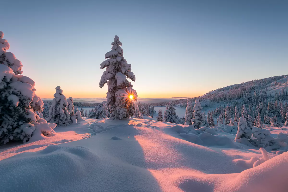 Snow Photography 101 How To Capture Stunning Winter Scenes 