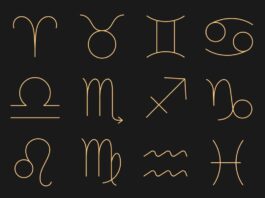 All 12 zodiac signs.