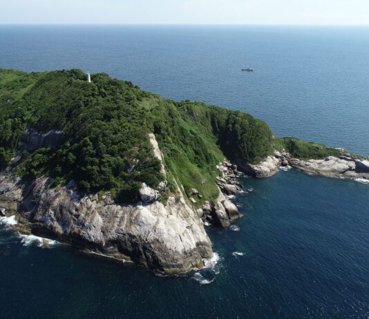 Snake Island
