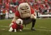 Best College Mascots