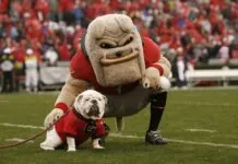 Best College Mascots