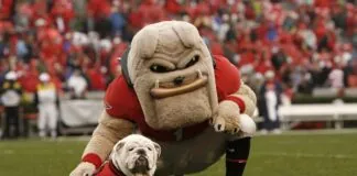 Best College Mascots