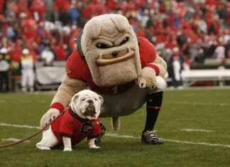 Best College Mascots