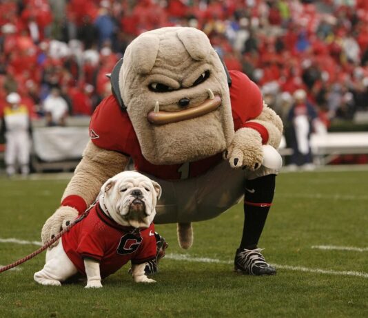 Best College Mascots