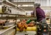 Cryptocurrency Could Influence Farming and Food Service