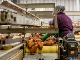 Cryptocurrency Could Influence Farming and Food Service