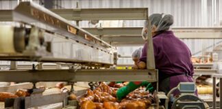 Cryptocurrency Could Influence Farming and Food Service