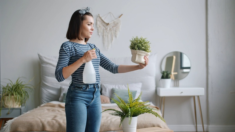 Young woman tending to houseplants with a spray bottle, symbolizing appreciation for her mother by taking over everyday Mother's Day chores