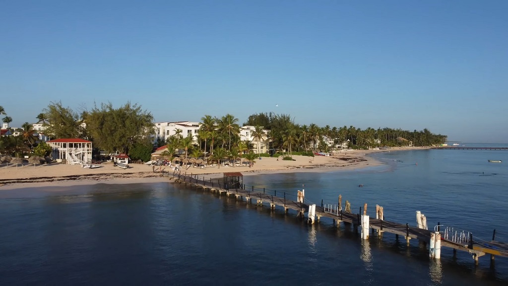 Aerial view of a beach resort with palm trees and white sand in Punta Cana