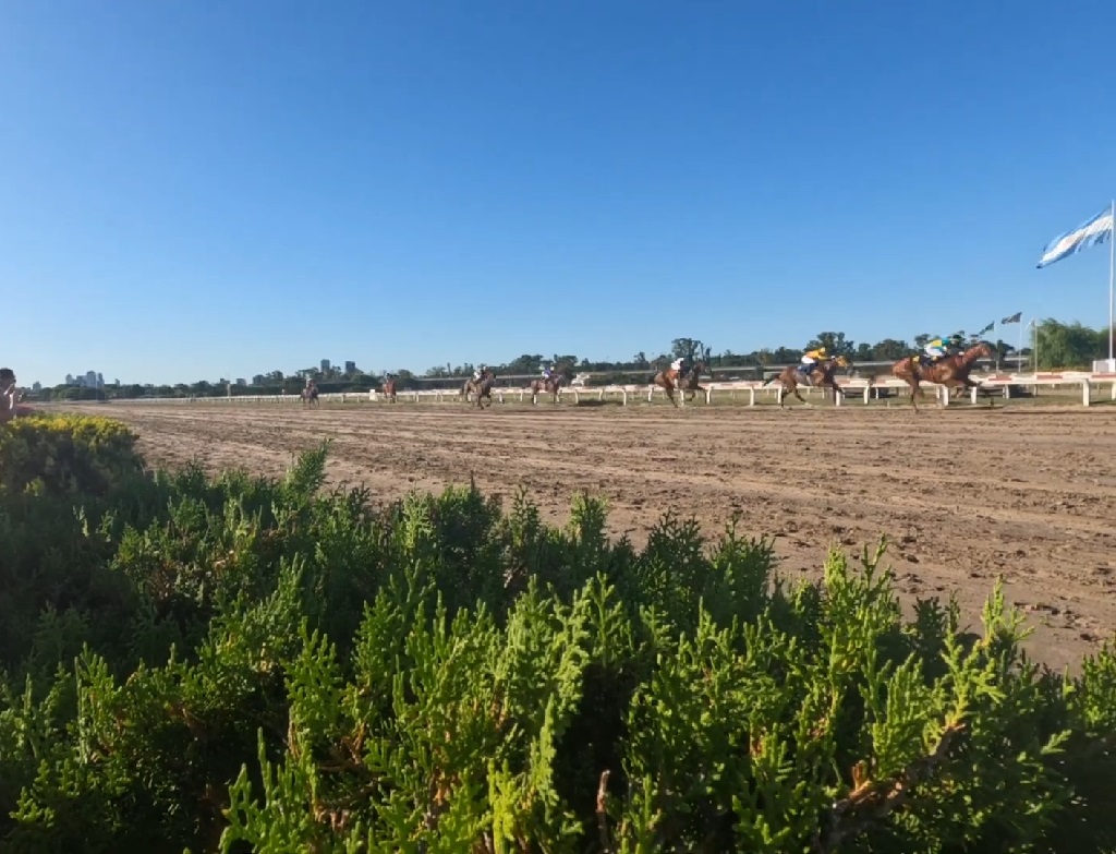 Horse racing remains one of the most popular sports in South America, attracting large crowds and passionate fans