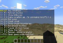 Complete List of Minecraft F3 Commands