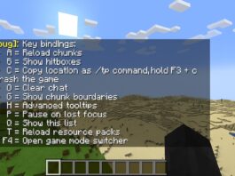 Complete List of Minecraft F3 Commands