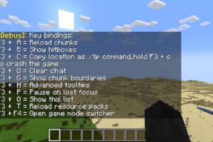 Complete List of Minecraft F3 Commands for Better Debugging ...