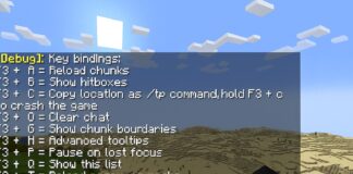 Complete List of Minecraft F3 Commands