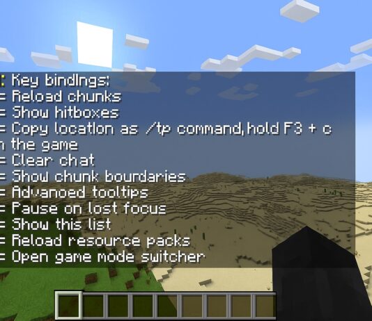 Complete List of Minecraft F3 Commands