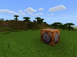 Minecraft Server Commands
