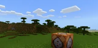 Minecraft Server Commands
