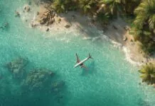 Aerial view of a tropical beach with clear turquoise water, palm trees, and an airplane flying low above the shoreline