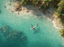 Aerial view of a tropical beach with clear turquoise water, palm trees, and an airplane flying low above the shoreline