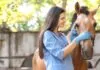 Veterinarian checks a calm horse during a routine exam that reflects common horse health problems