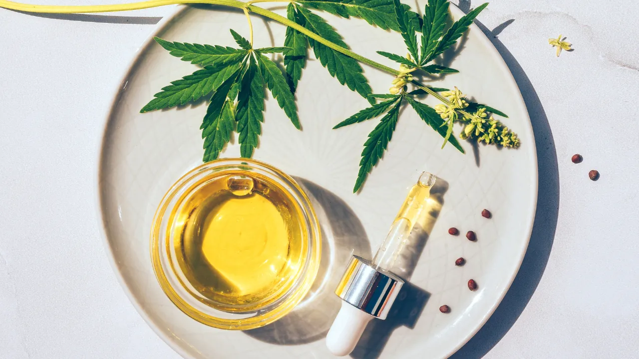 CBD oil sits on a plate beside cannabis leaves and a glass dropper