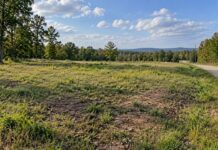Buying Land to Build On? The Homework That Saves You Thousands Vacant buildable land parcel with grassy terrain, gravel road, trees, and nearby utility poles.