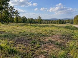 Vacant buildable land parcel with grassy terrain, gravel road, trees, and nearby utility poles.