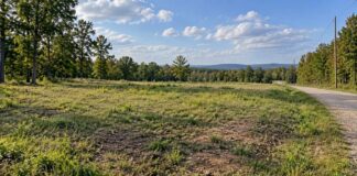 Vacant buildable land parcel with grassy terrain, gravel road, trees, and nearby utility poles.