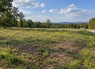 Buying Land to Build On? The Homework That Saves You Thousands Vacant buildable land parcel with grassy terrain, gravel road, trees, and nearby utility poles.